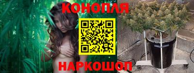 крисы Северобайкальск