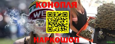 крисы Северобайкальск