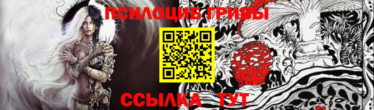 Галлюциногенные грибы GOLDEN TEACHER  Вход с VPN  Петропавловск-Камчатский 