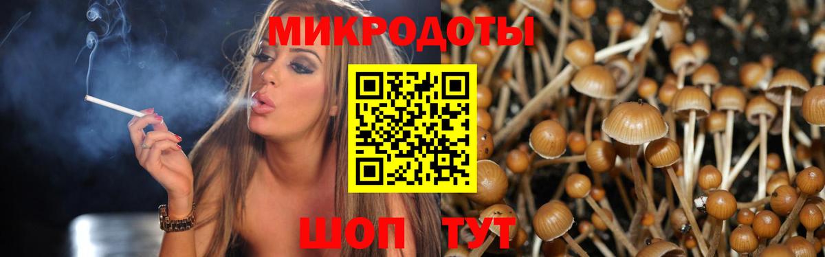 Псилоцибиновые грибы прущие грибы Петропавловск-Камчатский